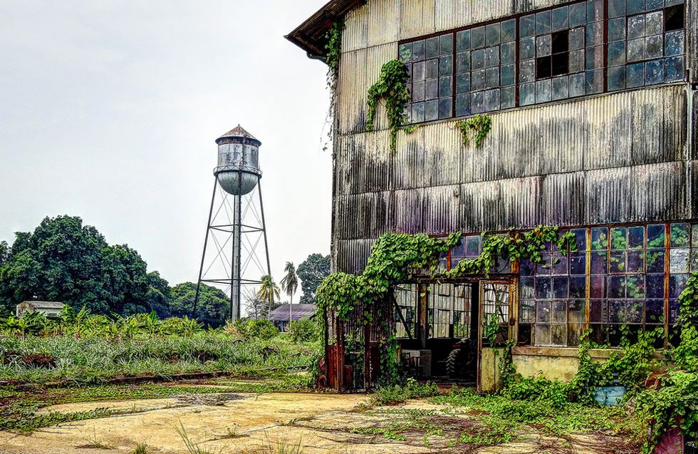 Nombre:  fordlandia-1528088584.jpg
Visitas: 59
Tamao: 202.6 KB