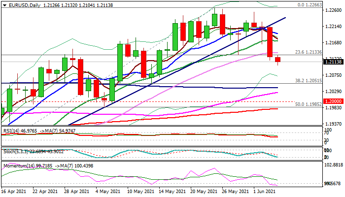 Nombre:  semilla.png
Visitas: 33
Tamao: 23.8 KB