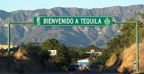 Nombre:  tequila3.jpg
Visitas: 168
Tamao: 73.7 KB