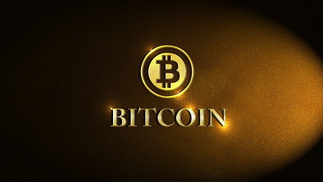 Nombre:  bitcoin-2348236_640.jpg
Visitas: 99
Tama�o: 52.5 KB