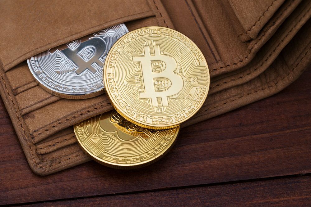 Nombre:  Wallet-Criptomonedas.jpg
Visitas: 47
Tamao: 132.1 KB