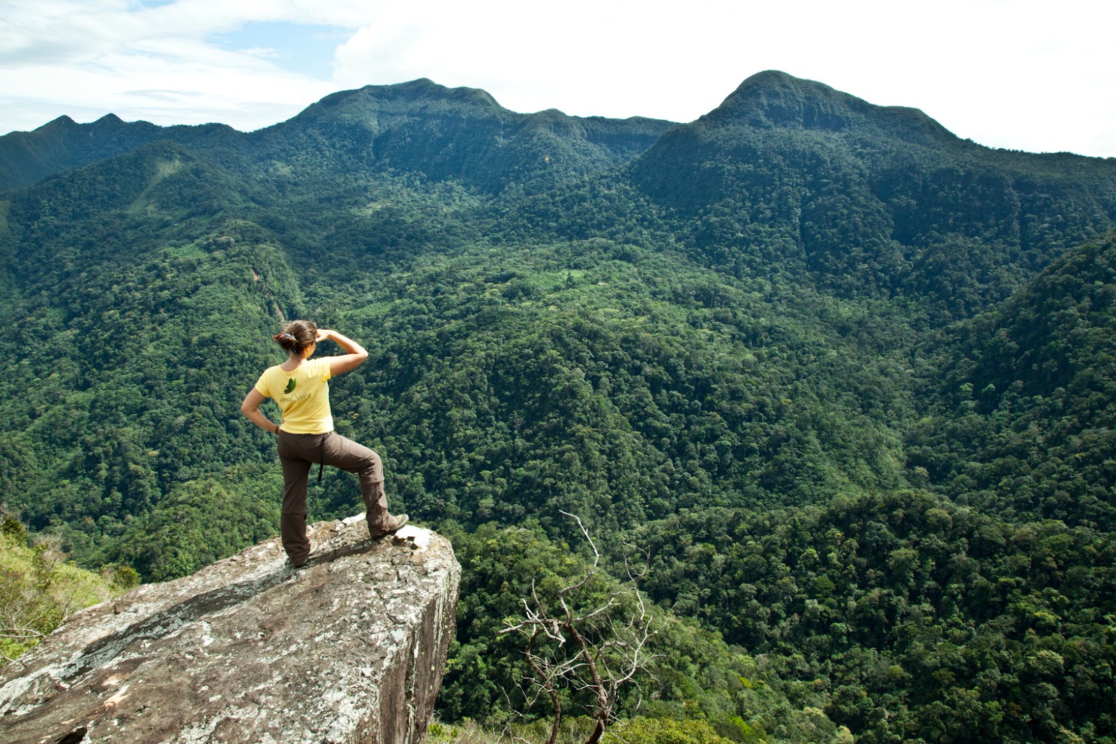 Nombre:  turismo-sostenible.3.jpg
Visitas: 231
Tamao: 539.5 KB