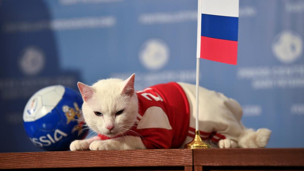 Nombre:  2018-06-13t121839z_1630623973_rc12cdbcb090_rtrmadp_3_soccer-worldcup-rus-sau-oracle-cat.jpg
Visitas: 172
Tama�o: 45.4 KB