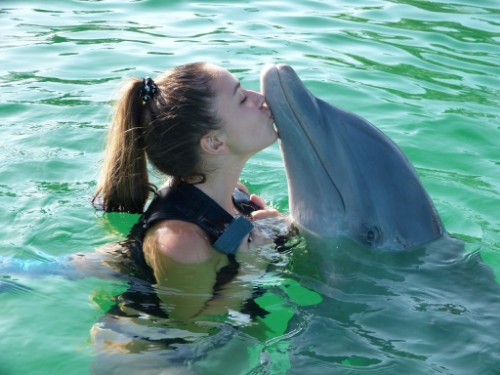Nombre:  Delfines-en-Margarita-Venezuela.jpg
Visitas: 388
Tamao: 52.2 KB